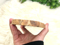 Petrified Wood Slab Slice Stone Crystal 165mm HQ