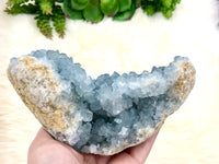 Raw Celestite Crystal Stone Geode Freeform Specimen 155mm IJ