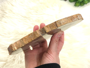 Petrified Wood Slab Slice Stone Crystal 165mm HQ