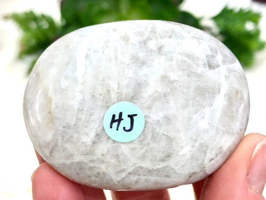 Moonstone Palmstones